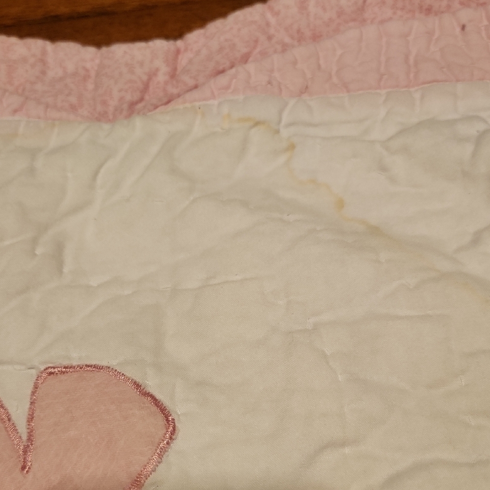 Pottery Barn Kids Quilt With Butterflies & Flowers with 2 Shams - Picture 15 of 15